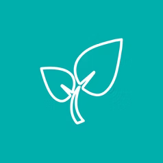 hoja